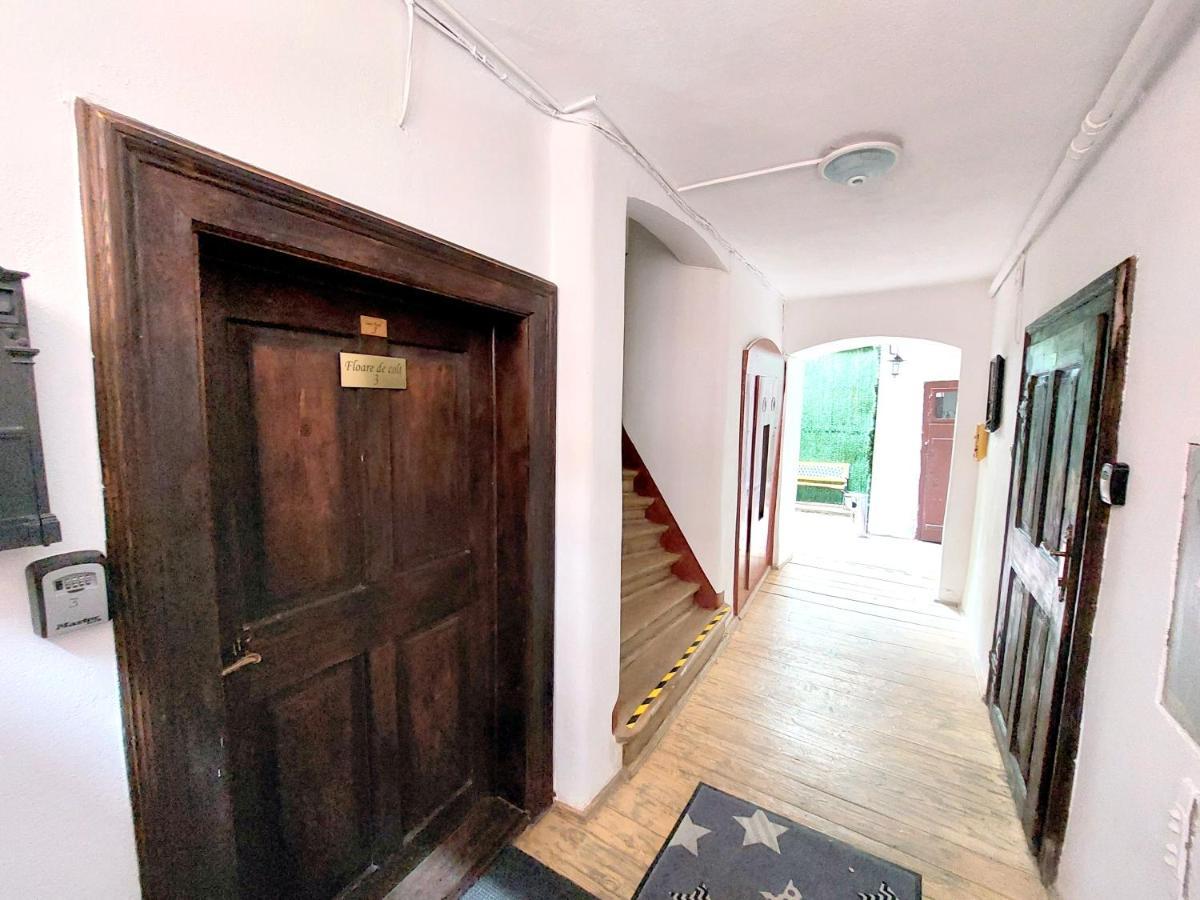 Apartament Casa Roth Braszów Zewnętrze zdjęcie